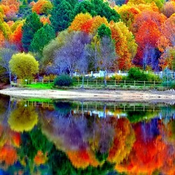 Пазл: Рассыпала осень краски