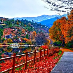 Пазл: По осенней дорожке