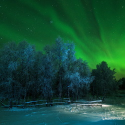 Пазл: Зимняя ночь