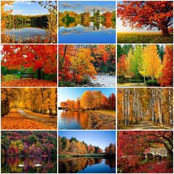 Пазл: Лес, точно терем расписной