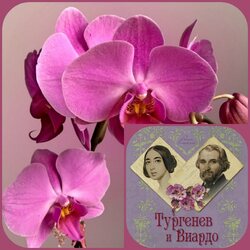 Пазл: Любовь длиною в жизнь