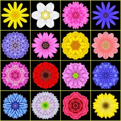 Пазл: Коллаж