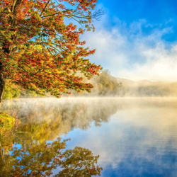 Пазл: Туман