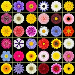 Пазл: Коллаж