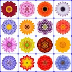 Пазл: Коллаж