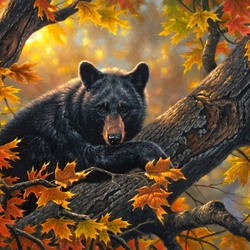 Пазл: Высоко залез