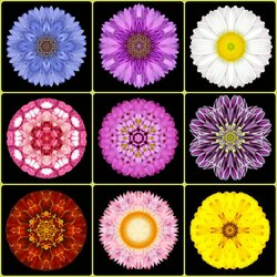 Пазл: Коллаж