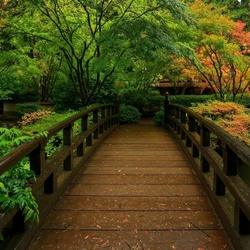 Пазл: Мост в парке