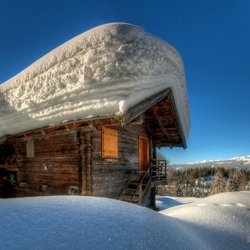 Пазл: Суровая зима