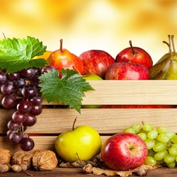 Пазл: Урожай