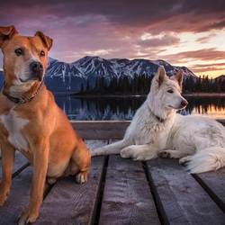 Пазл: Ожидание