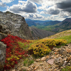 Пазл: В горах 