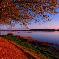 Пазл: Осень 