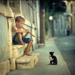 Пазл: Соло для кошки