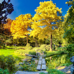 Пазл: Осень золотая