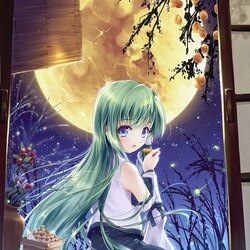 Пазл: Полнолуние