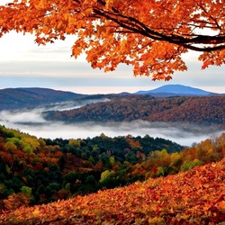 Пазл: Осень      