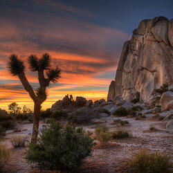 Пазл: Аризона    