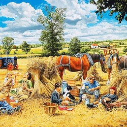 Пазл: В поле