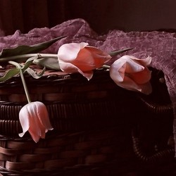 Пазл: После разлуки