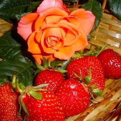 Пазл: Клубничное наслаждение