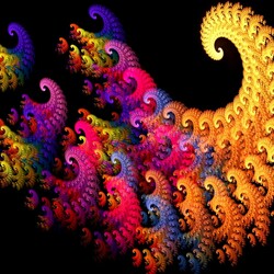 Пазл: Ракушка