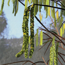 Пазл: Серёжки