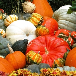 Пазл: Подготовка к Хэллоуину