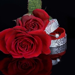 Пазл: Предложение руки и сердца