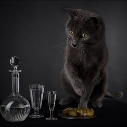 Пазл: Закуска