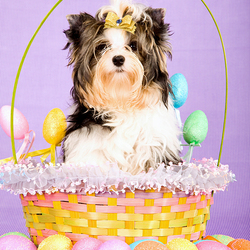 Пазл: Пасхальный