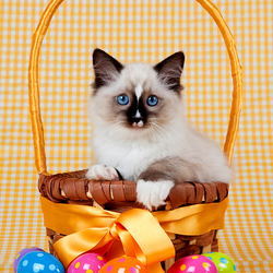 Пазл: Пасхальный