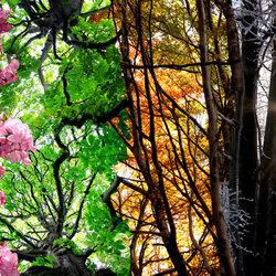 Пазл: Времена года