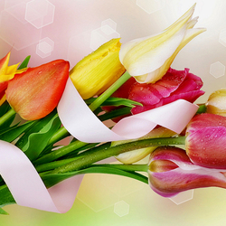 Пазл: Тюльпаны