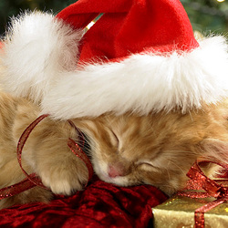 Пазл: В ожидании праздника