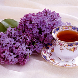 Пазл: Чашечка чая