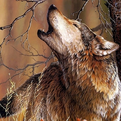 Пазл: Волк