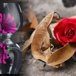 Пазл: Воспоминания