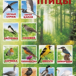 Пазл: Перелетные птицы