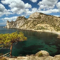 Пазл: Новый свет