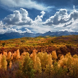 Пазл: Осень    