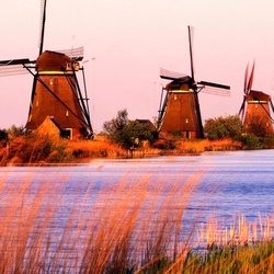 Пазл: Ветряные мельницы