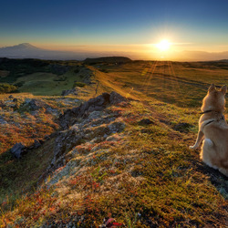 Пазл: Рассвет в горах   