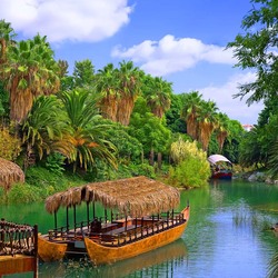 Пазл: В тропиках    