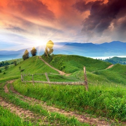 Пазл: Летний рассвет