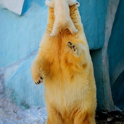 Пазл: Мамы всякие нужны