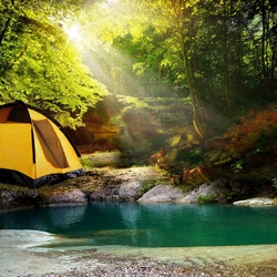 Пазл: Палатка в лесу