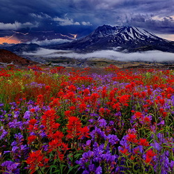 Пазл: Гроза в горах 