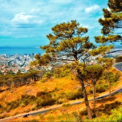 Пазл: Дорога в осень