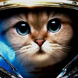 Пазл: Кот Васька-космонавт